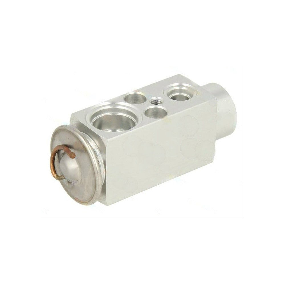 LINK-LOCK 膨張弁 0038307384 530 / E60用