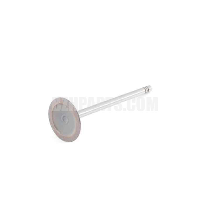 MAHLE Inlet Gate FVE014T/06E109601E