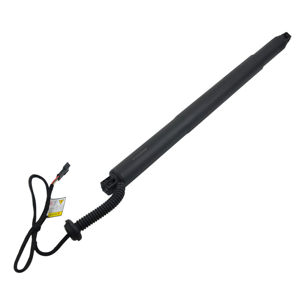 LINK-LOCK trunk bar electric) L 51247318651 For X6 / F16