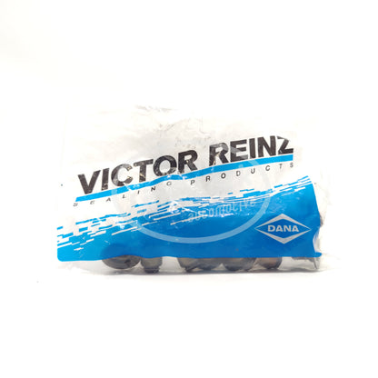 VICTORREINZ Valve oil seal 70-37621-00/11340033950